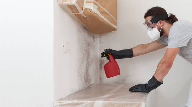 Professional Crawl Space Mold Remediation technician working in Pierce, CO